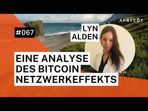 067 Lyn Alden – Eine Analyse des Bitcoin Netzwerkeffekts